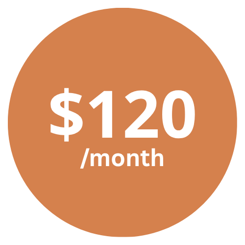 $120