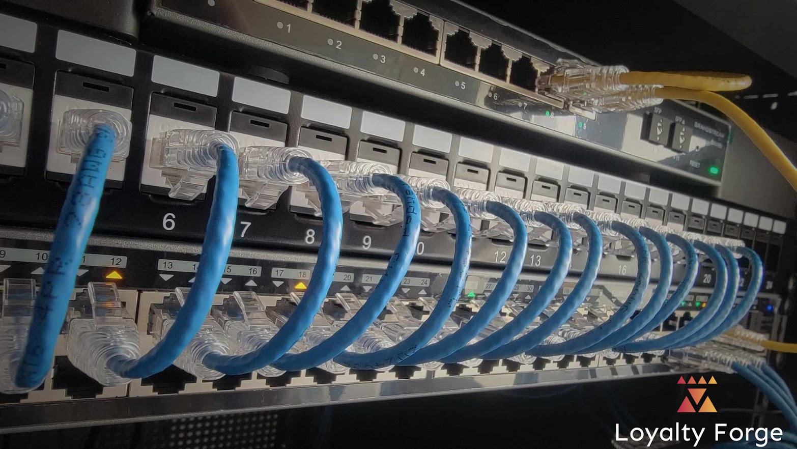 Data-Cabling